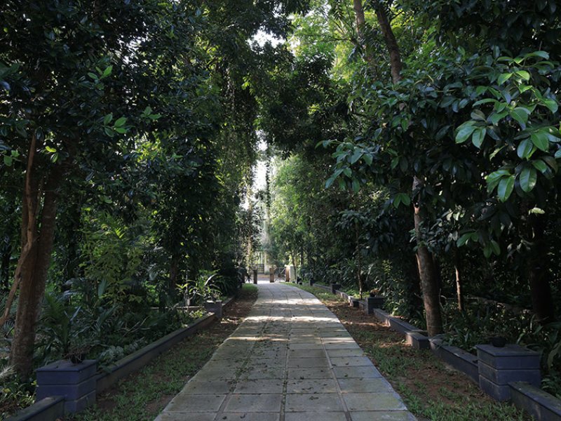 Softouch Ayurveda Village