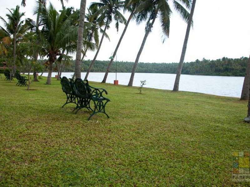 Kalari Rasayana